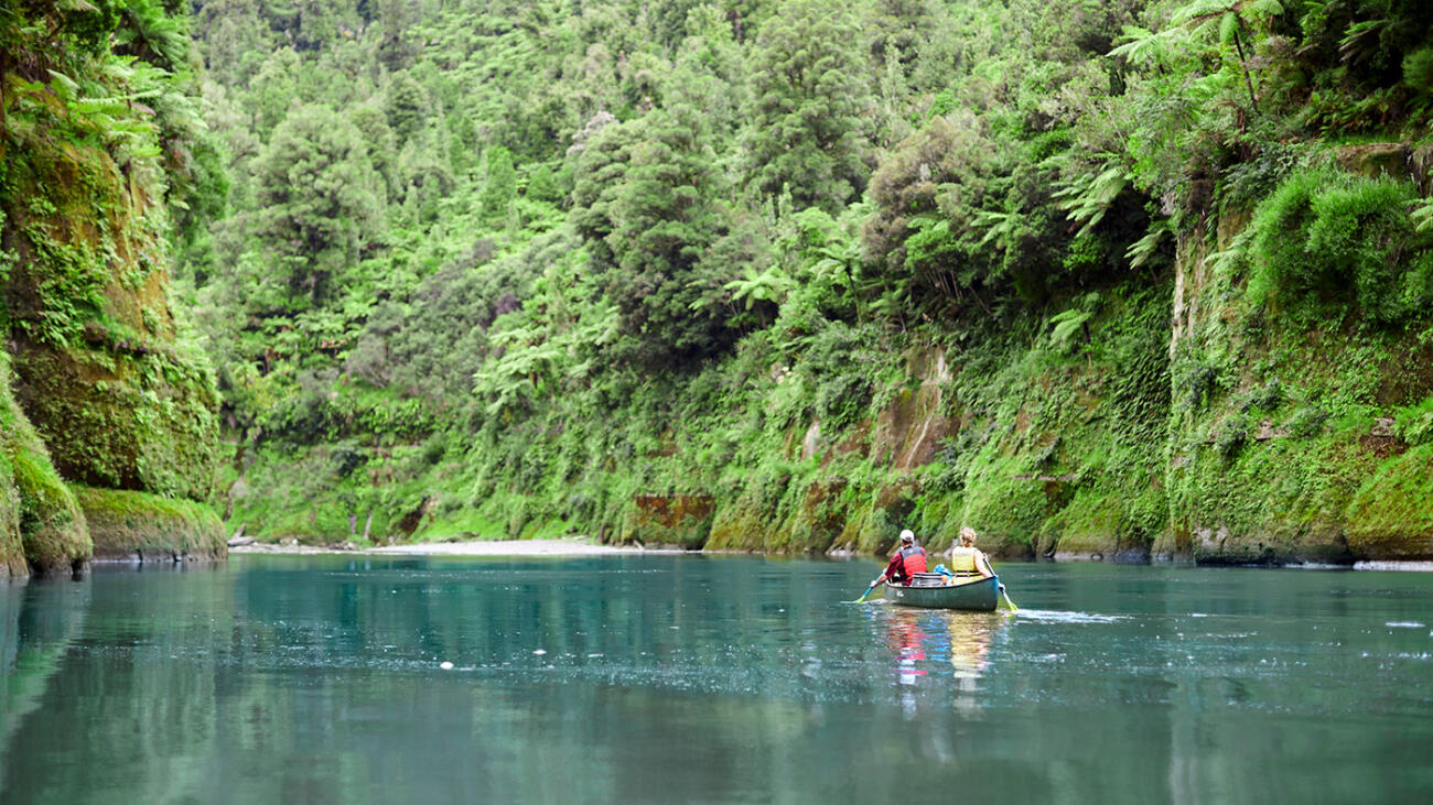 Two people paddling a canoe along a calm river surrounded by dense native forest.
